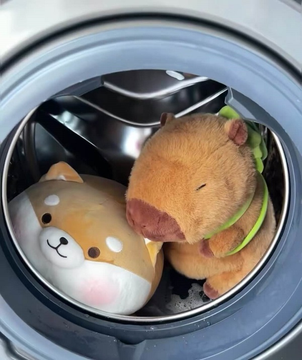 How to Care for Your Plush Toys: A Simple Guide