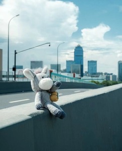 The timeless appeal of plush toys: an emotional bond that transcends childhood