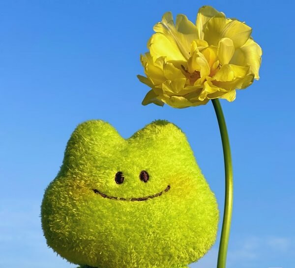 The timeless appeal of plush toys: an emotional bond that transcends childhood