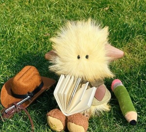 The timeless appeal of plush toys: an emotional bond that transcends childhood